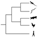 Illustration for article titled An example of biological nomenclatural confusion
